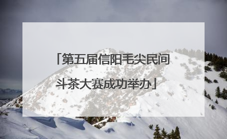 第五届信阳毛尖民间斗茶大赛成功举办