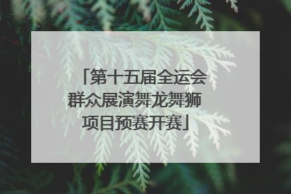 第十五届全运会群众展演舞龙舞狮项目预赛开赛