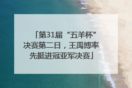 第31届“五羊杯”决赛第二日，王禹博率先挺进冠亚军决赛