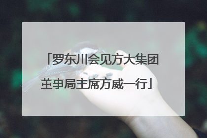 罗东川会见方大集团董事局主席方威一行