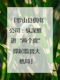罗山县供电公司：纵深推进“两个度” 撑起监督大格局