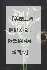 美国上调钢铝关税，欧盟德国最新回应