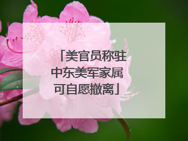 美官员称驻中东美军家属可自愿撤离