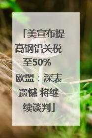 美宣布提高钢铝关税至50% 欧盟：深表遗憾 将继续谈判