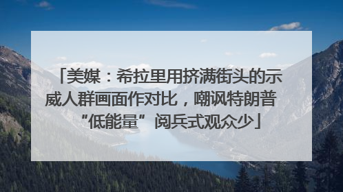 美媒：希拉里用挤满街头的示威人群画面作对比，嘲讽特朗普“低能量”阅兵式观众少
