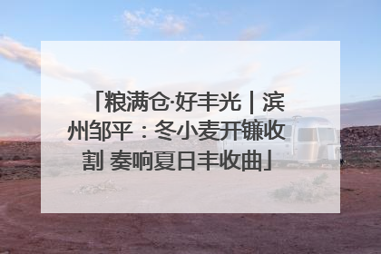 粮满仓·好丰光｜滨州邹平：冬小麦开镰收割 奏响夏日丰收曲