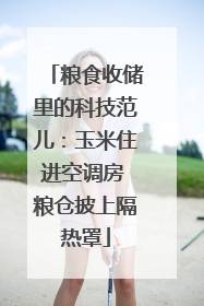 粮食收储里的科技范儿：玉米住进空调房 粮仓披上隔热罩
