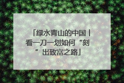 绿水青山的中国丨看一刀一划如何“刻”出致富之路