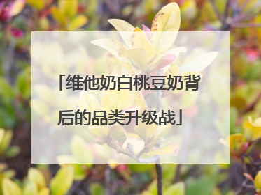 维他奶白桃豆奶背后的品类升级战