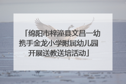 绵阳市梓潼县文昌一幼携手金龙小学附属幼儿园开展送教送培活动