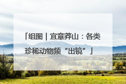 组图｜宜章莽山：各类珍稀动物频“出镜”