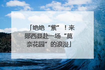 绝绝“紫”！来郧西县赴一场“莫奈花园”的浪漫
