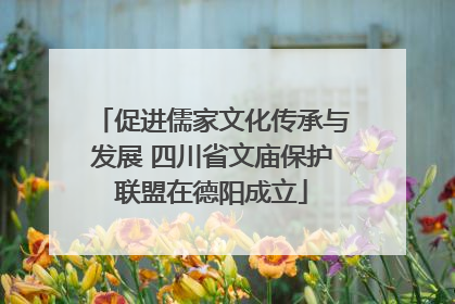 促进儒家文化传承与发展 四川省文庙保护联盟在德阳成立