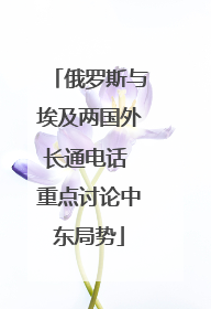 俄罗斯与埃及两国外长通电话 重点讨论中东局势