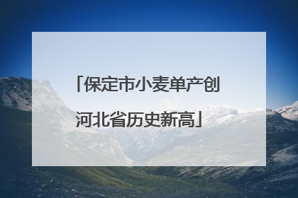 保定市小麦单产创河北省历史新高