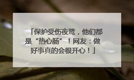 保护受伤夜鹭，他们都是“热心肠”！网友：做好事真的会很开心！