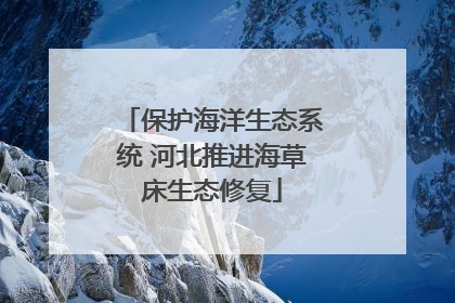 保护海洋生态系统 河北推进海草床生态修复