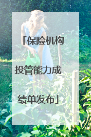 保险机构投管能力成绩单发布