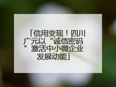信用变现！四川广元以“诚信密码”激活中小微企业发展动能