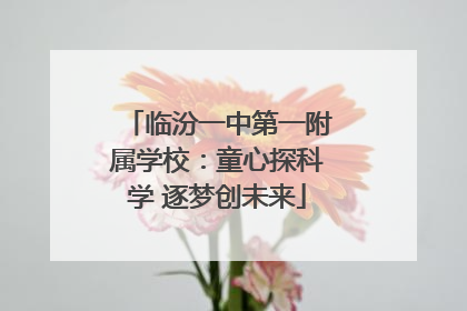 临汾一中第一附属学校：童心探科学 逐梦创未来
