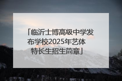 临沂士博高级中学发布学校2025年艺体特长生招生简章