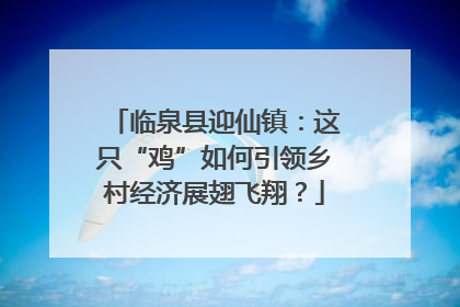 临泉县迎仙镇：这只“鸡”如何引领乡村经济展翅飞翔？