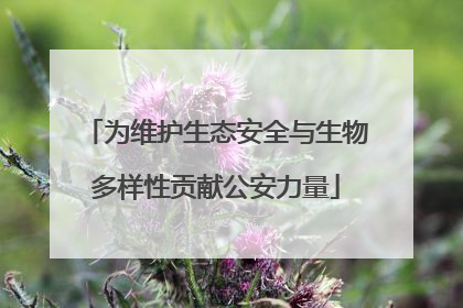 为维护生态安全与生物多样性贡献公安力量
