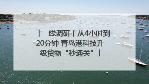一线调研丨从4小时到20分钟 青岛港科技升级货物“秒通关”