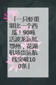 一只虾重堪比一个西瓜！90吨活波龙运抵鄂州，花湖机场货运航线突破100条