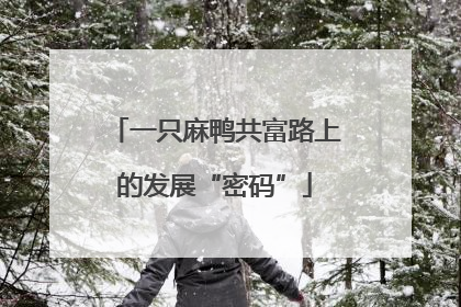 一只麻鸭共富路上的发展“密码”