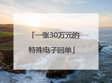 一张30万元的特殊电子回单