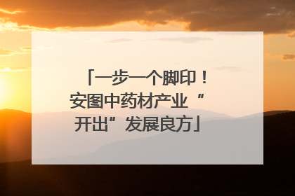 一步一个脚印！安图中药材产业“开出”发展良方