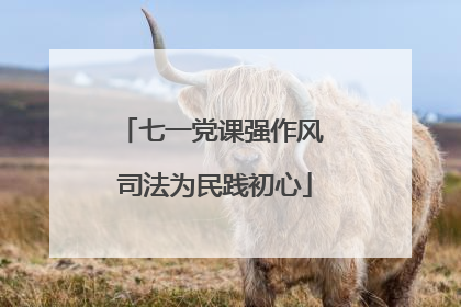 七一党课强作风 司法为民践初心