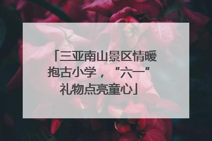 三亚南山景区情暖抱古小学，“六一”礼物点亮童心