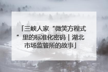 三峡人家“微笑方程式”里的标准化密码｜湖北市场监管所的故事
