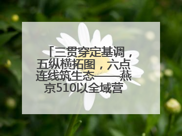 三贯穿定基调，五纵横拓图，六点连线筑生态——燕京510以全域营销战略登顶行业IP新高度