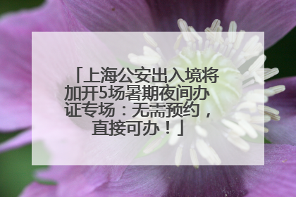 上海公安出入境将加开5场暑期夜间办证专场：无需预约，直接可办！