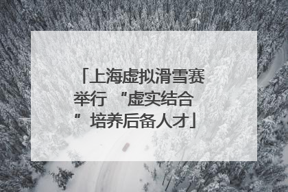 上海虚拟滑雪赛举行 “虚实结合”培养后备人才