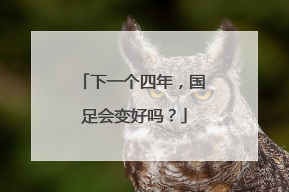下一个四年，国足会变好吗？