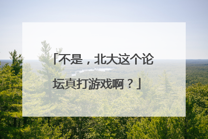 不是，北大这个论坛真打游戏啊？