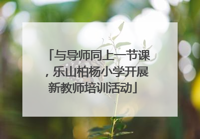 与导师同上一节课，乐山柏杨小学开展新教师培训活动