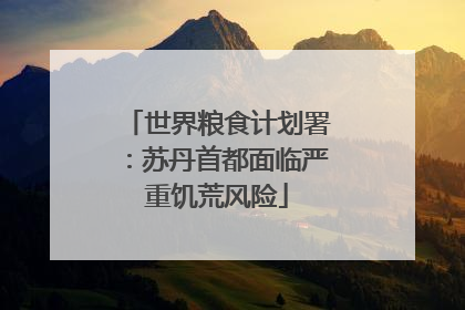 世界粮食计划署：苏丹首都面临严重饥荒风险
