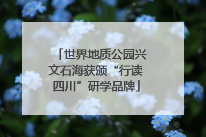 世界地质公园兴文石海获颁“行读四川”研学品牌