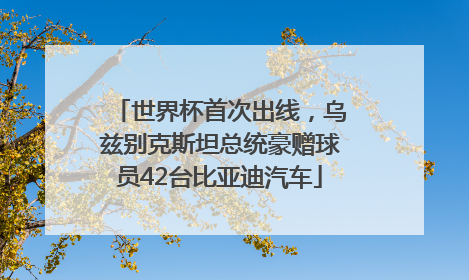 世界杯首次出线，乌兹别克斯坦总统豪赠球员42台比亚迪汽车
