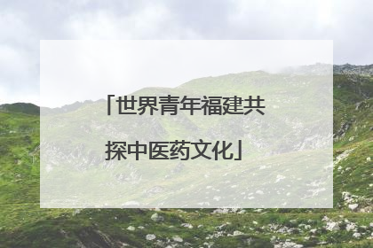 世界青年福建共探中医药文化