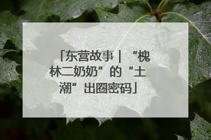 东营故事｜“槐林二奶奶”的“土潮”出圈密码