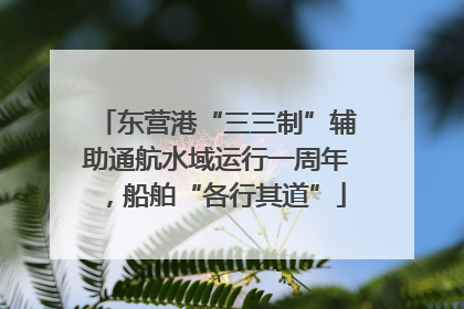 东营港“三三制”辅助通航水域运行一周年，船舶“各行其道”