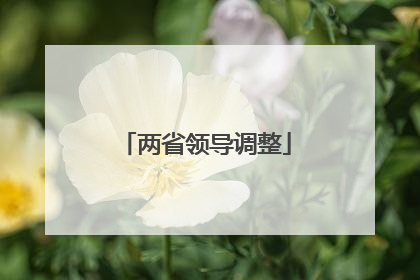 两省领导调整
