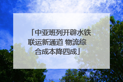 中亚班列开辟水铁联运新通道 物流综合成本降四成