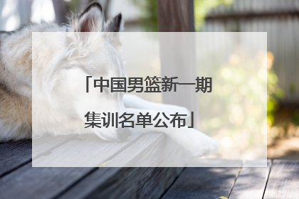 中国男篮新一期集训名单公布